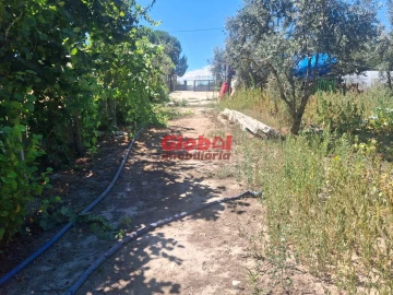 Terreno para Venda em Ribafeita