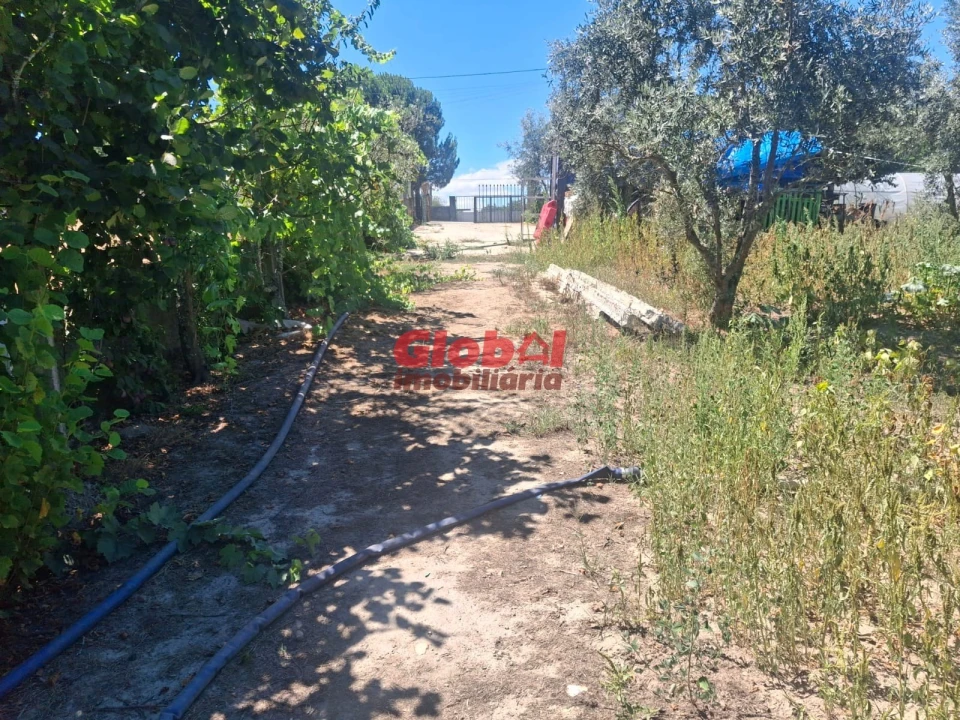Terreno para Venda em Ribafeita Foto 7