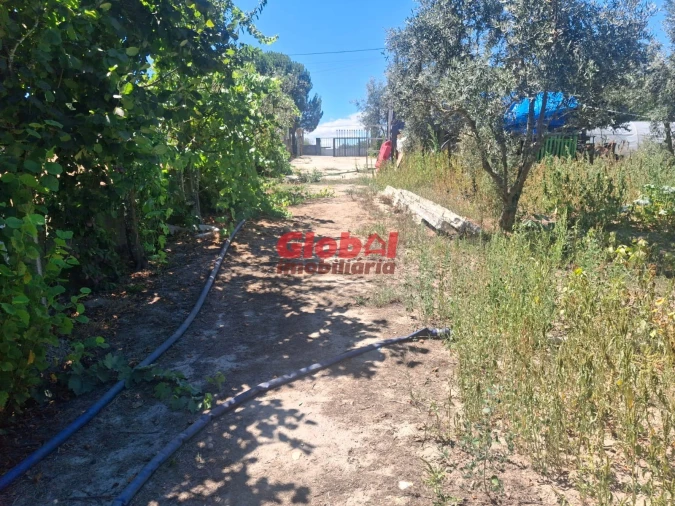 Terreno para Venda em Ribafeita Foto 7