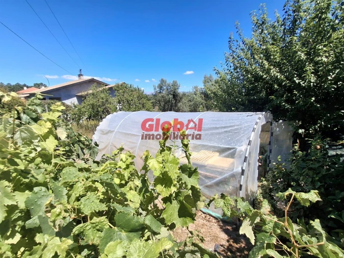 Terreno para Venda em Ribafeita Foto 4