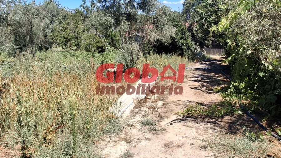 Terreno para Venda em Ribafeita