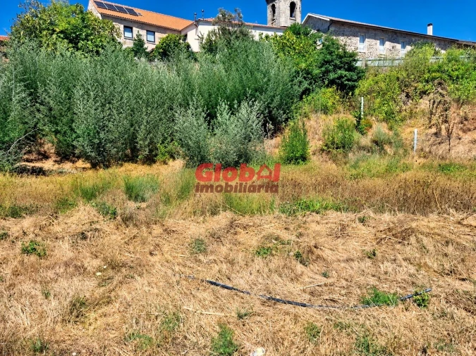 Terreno para Venda em Satão Foto 3