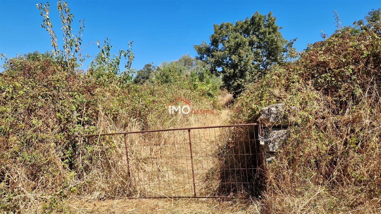 Quinta T1 para Venda em Nossa Senhora da Graça de Povoa e Meadas Foto 15