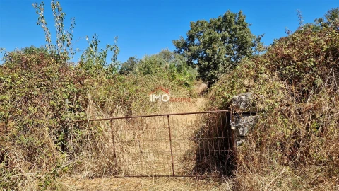 Quinta T1 para Venda em Nossa Senhora da Graça de Povoa e Meadas