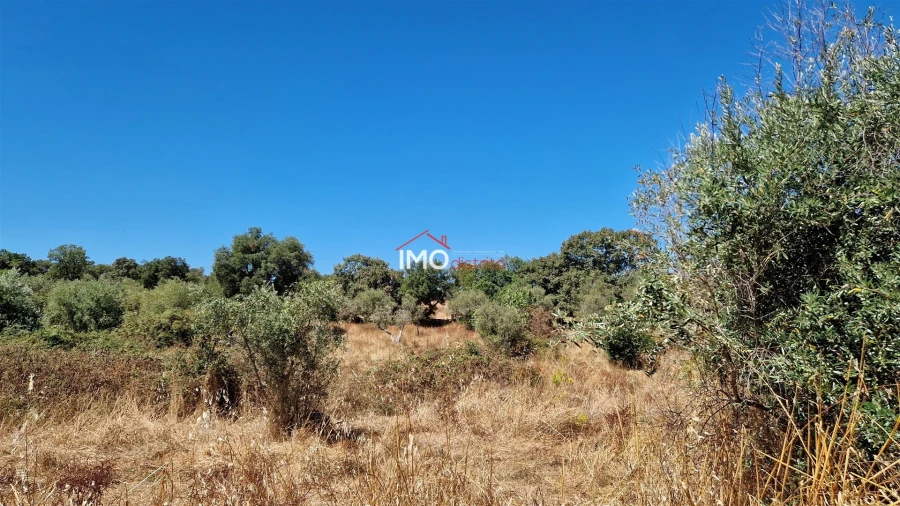Quinta T1 para Venda em Nossa Senhora da Graça de Povoa e Meadas Foto 14
