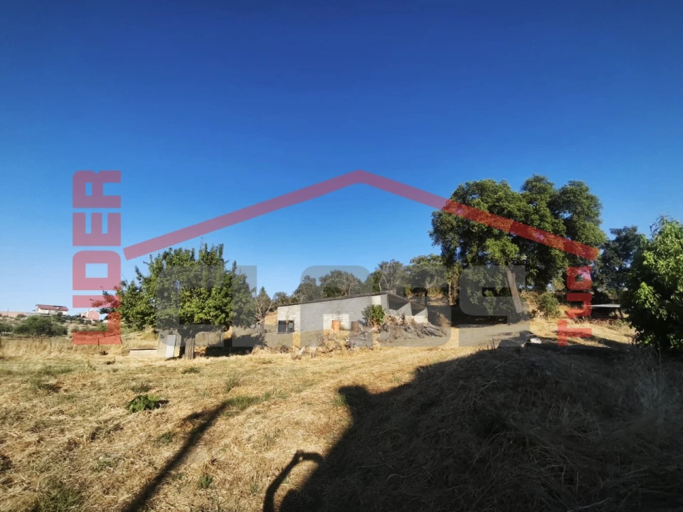 Terreno para Venda em Suçães Foto 2