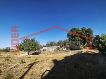 Terreno para Venda em Suçães