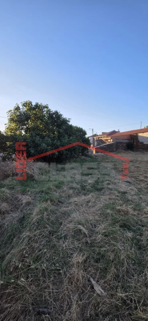 Terreno para Venda em Suçães