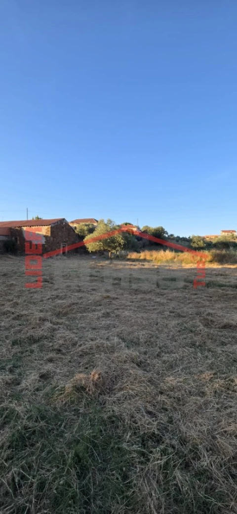 Terreno para Venda em Suçães