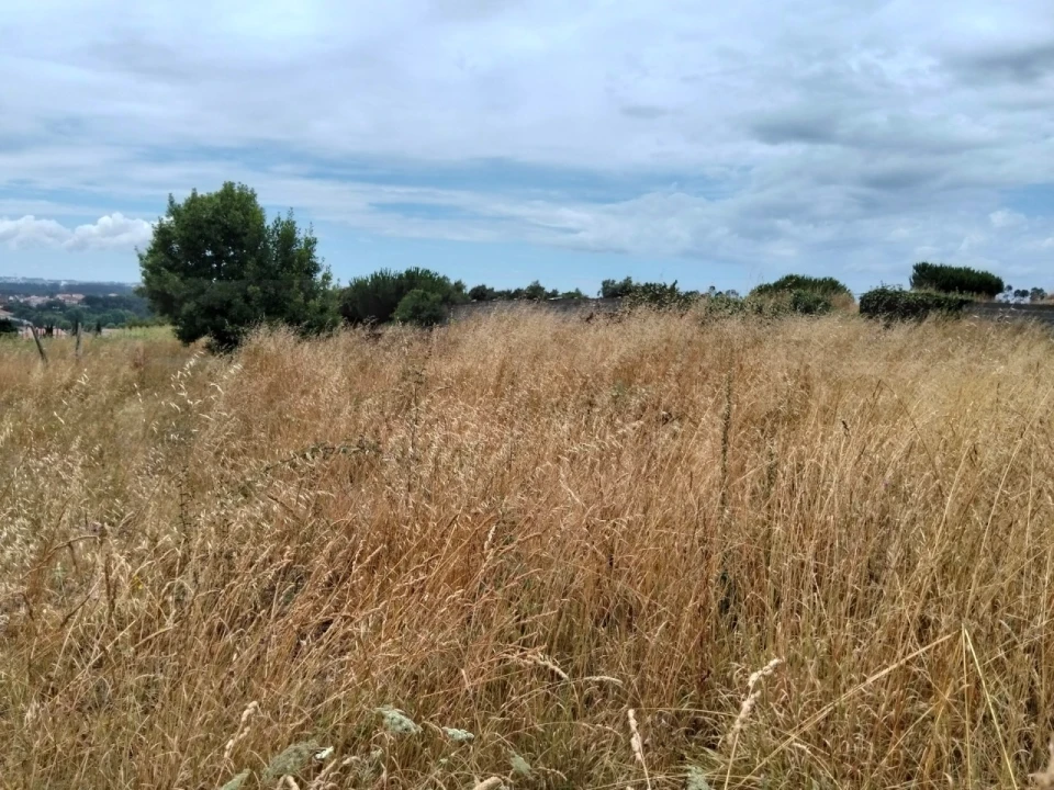 Terreno para Venda em Canelas e Fermelã Foto 5