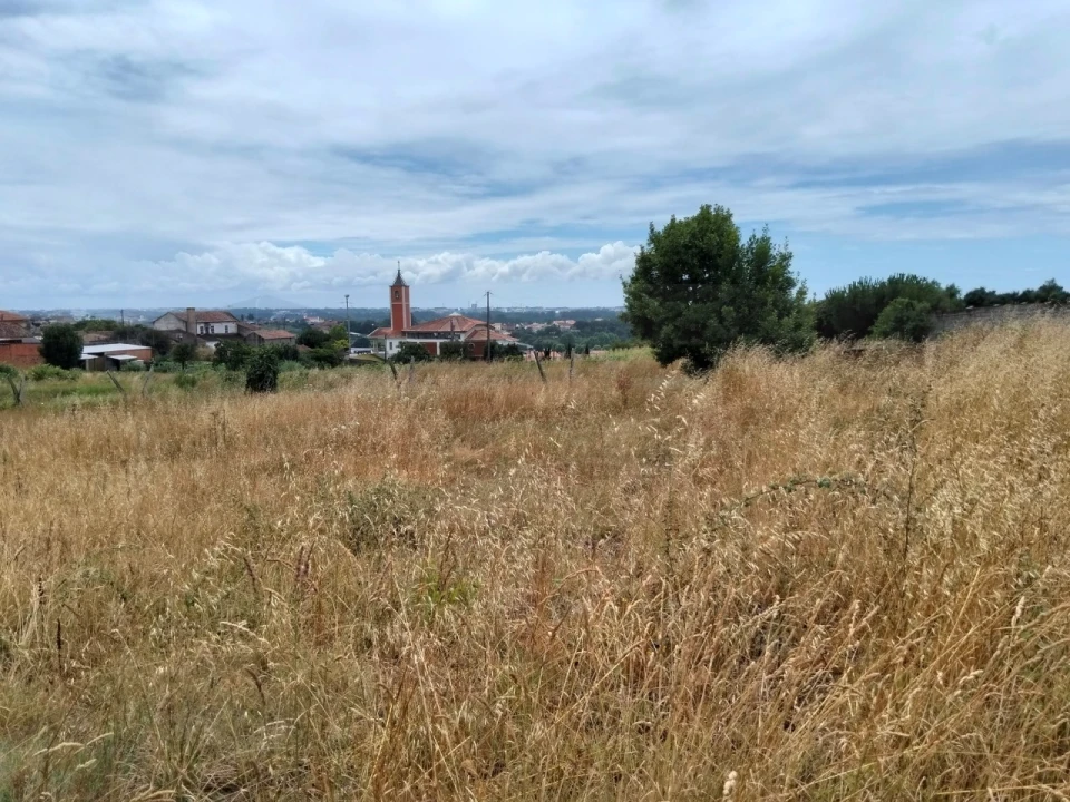 Terreno para Venda em Canelas e Fermelã Foto 10