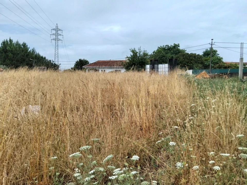 Terreno para Venda em Canelas e Fermelã Foto 11