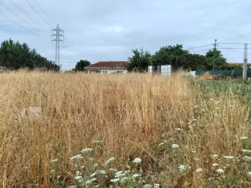 Terreno para Venda em Canelas e Fermelã
