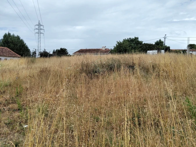 Terreno para Venda em Canelas e Fermelã Foto 3