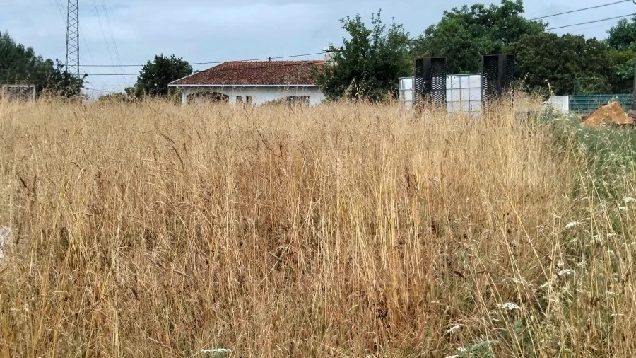 Terreno para Venda em Canelas e Fermelã