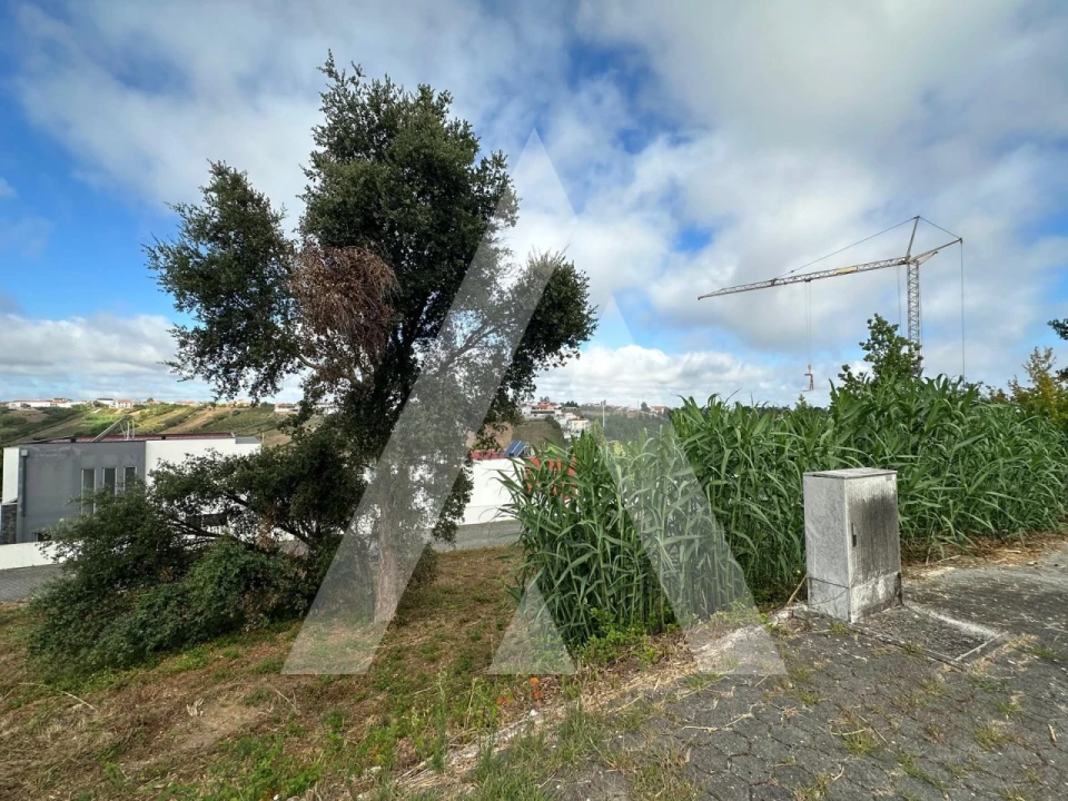 Terreno para Venda em Leiria, Pousos, Barreira e Cortes Foto 14