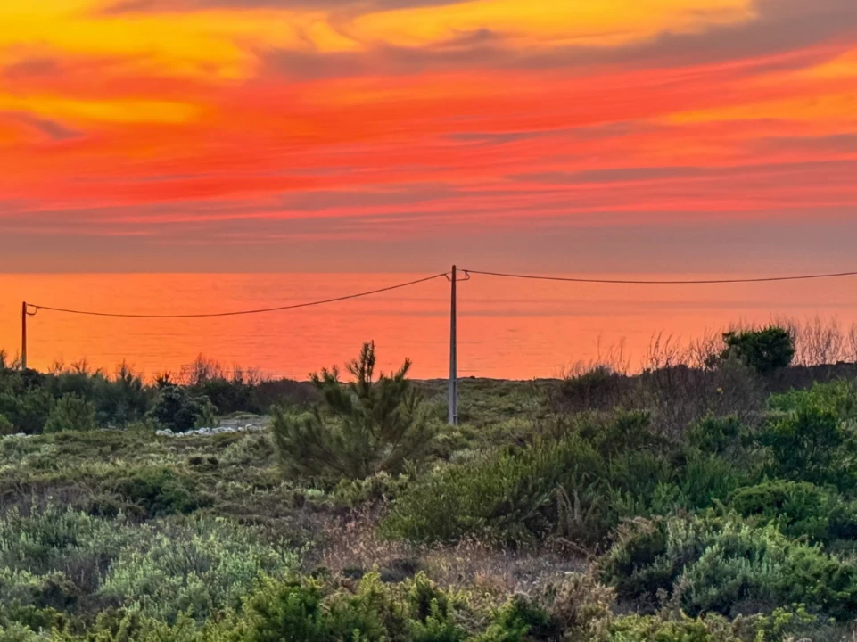 Quinta T2 para Venda em Pataias e Martingança Foto 31