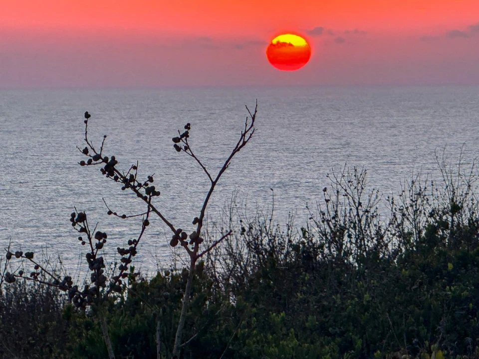 Quinta T2 para Venda em Pataias e Martingança Foto 37