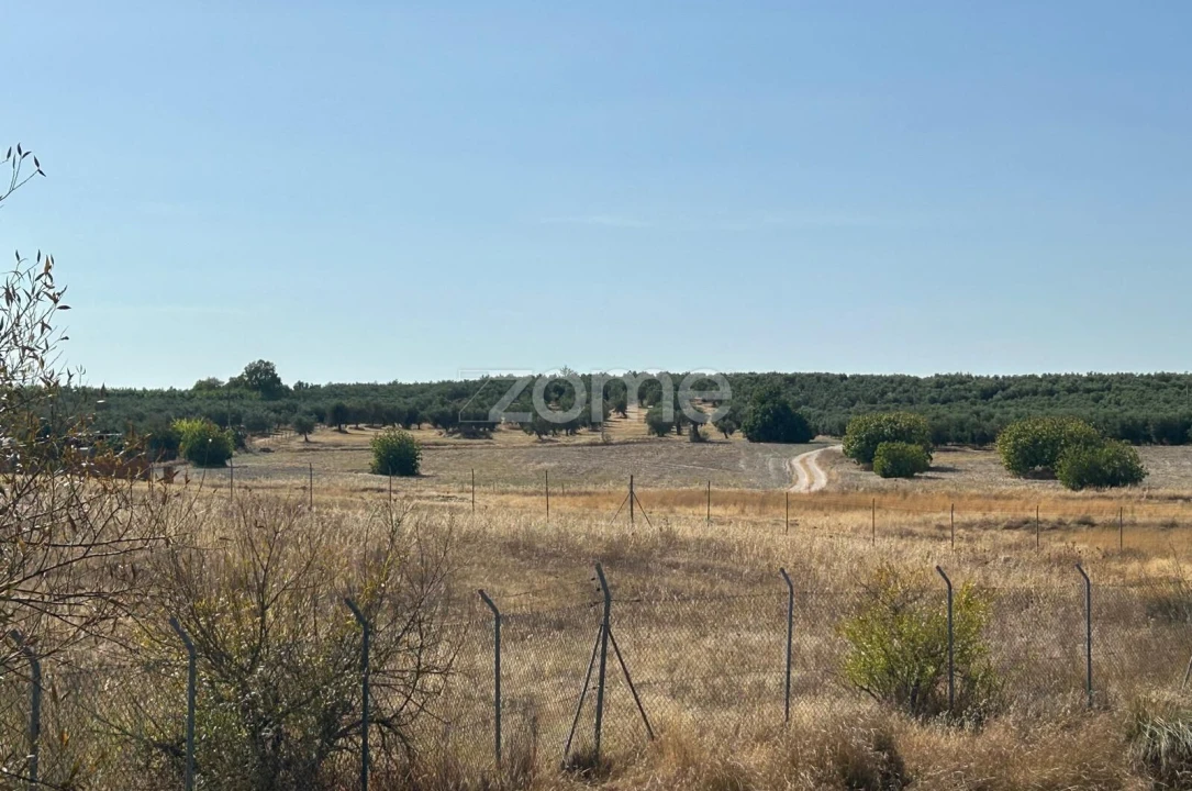Terreno para Venda em Pias Foto 12