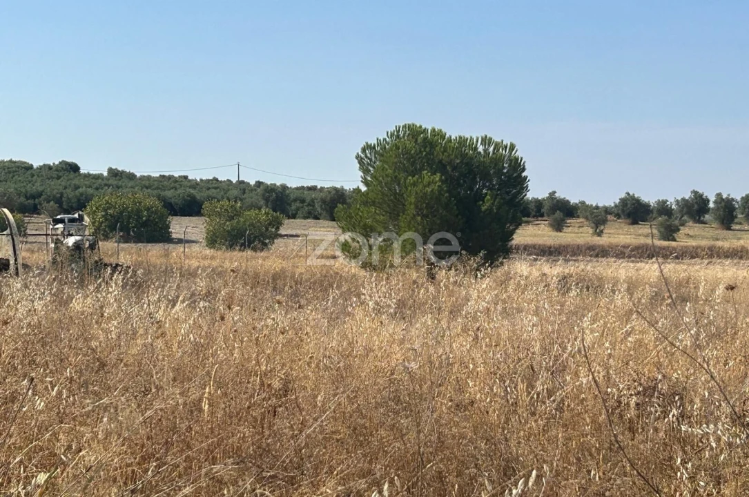 Terreno para Venda em Pias Foto 2
