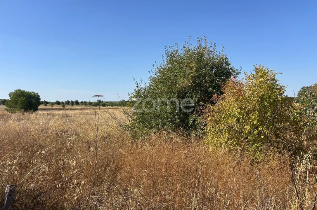 Terreno para Venda em Pias Foto 20