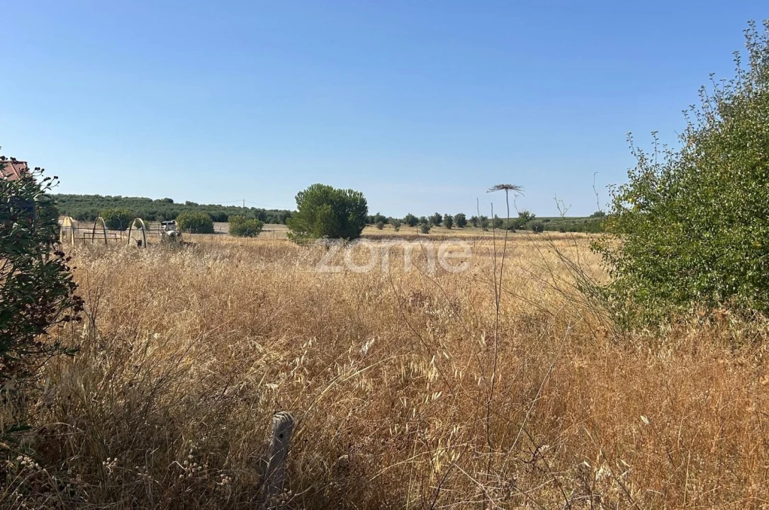 Terreno para Venda em Pias Foto 3