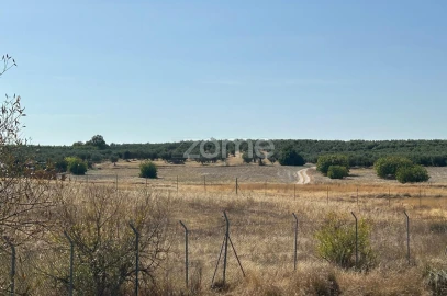 Terreno para Venda em Pias