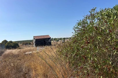 Terreno para Venda em Pias