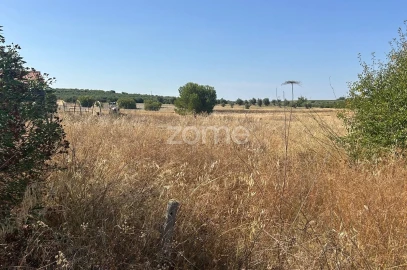 Terreno para Venda em Pias