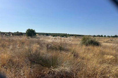 Terreno para Venda em Pias