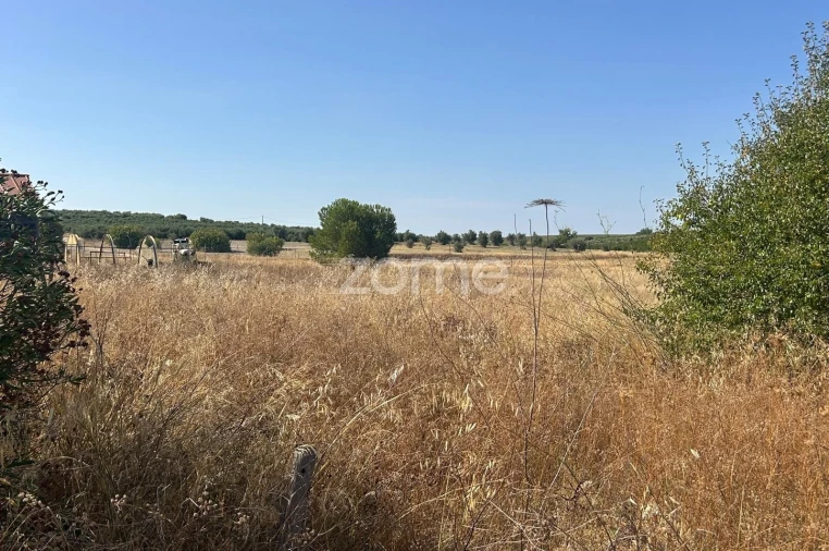 Terreno para Venda em Pias Foto 3