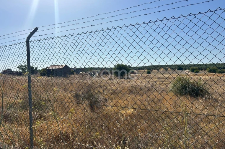 Terreno para Venda em Pias Foto 9
