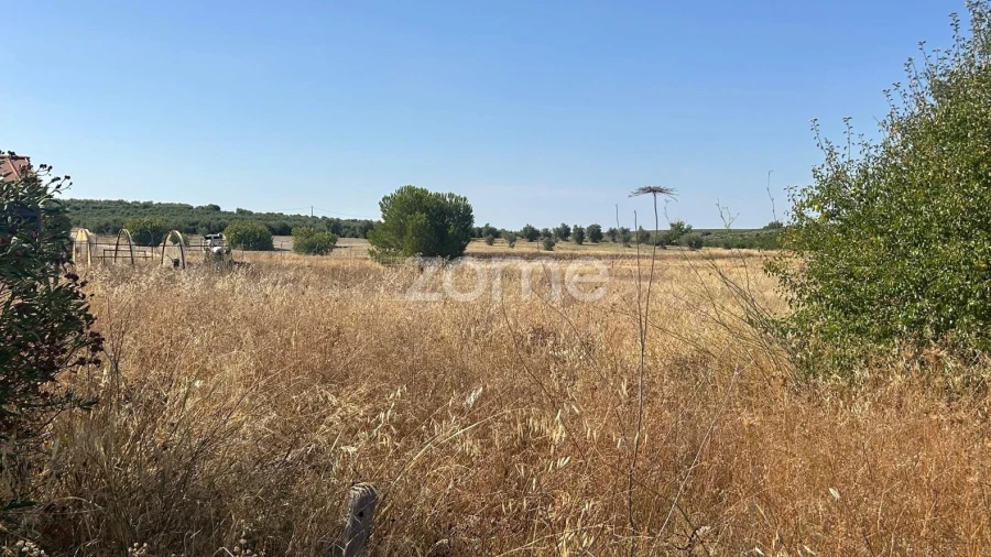 Terreno para Venda em Pias