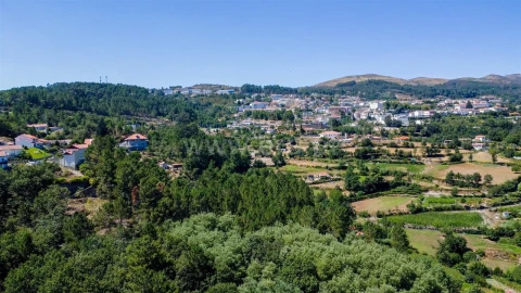 Terreno para Venda em Campelo e Ovil