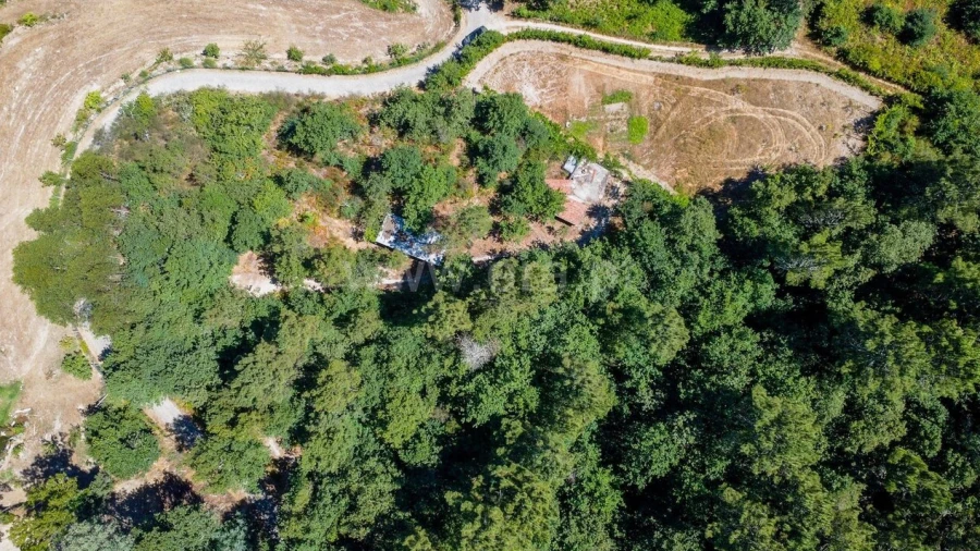 Terreno para Venda em Campelo e Ovil