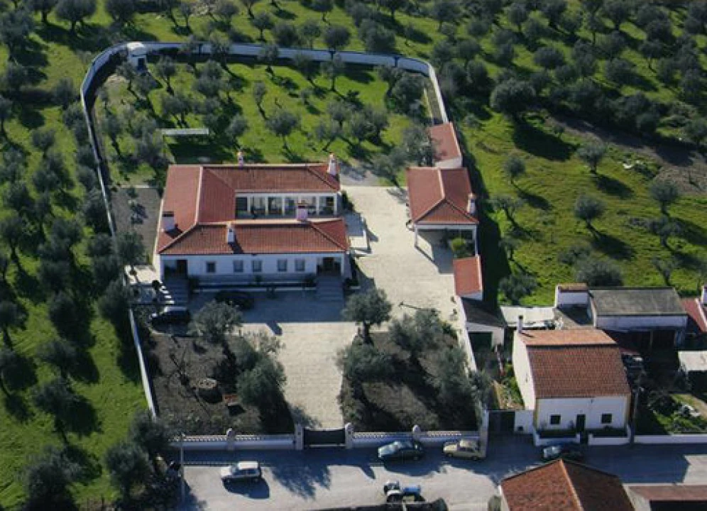 Quinta T6 para Venda em Alpalhão Foto 4
