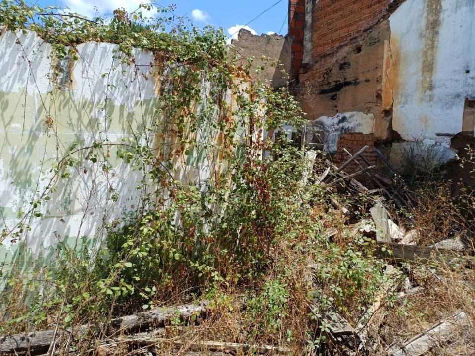 Moradia T0 para Venda em São Miguel do Rio Torto e Rossio Ao Sul do Tejo Foto 5