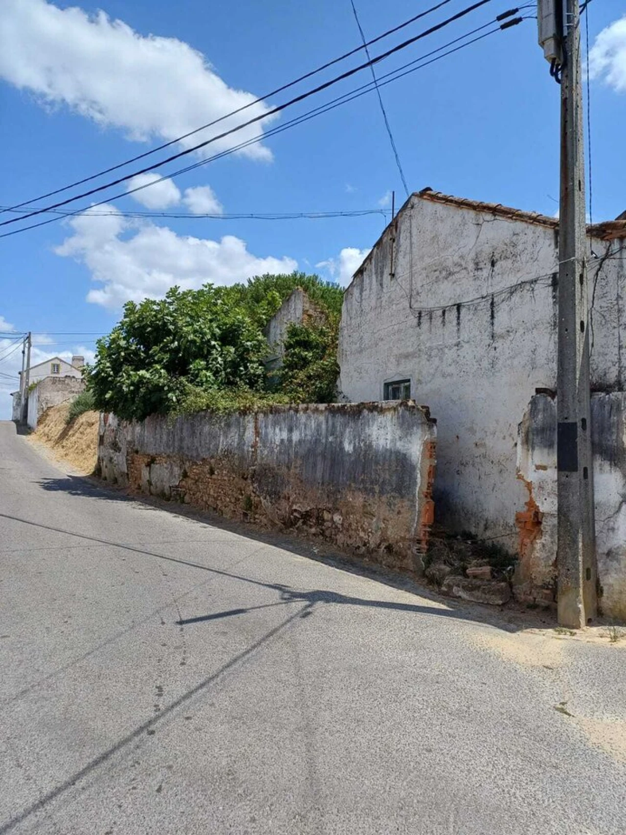 Moradia T0 para Venda em São Miguel do Rio Torto e Rossio Ao Sul do Tejo Foto 7