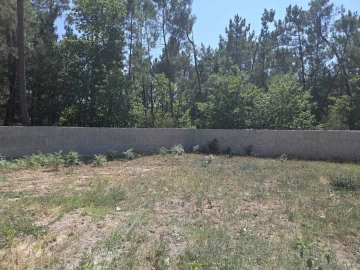 Moradia T3 para Venda em Moreira