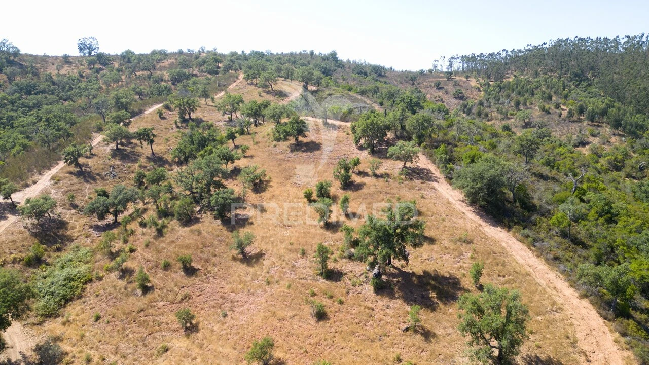 Quinta T3 para Venda em São Salvador e Santa Maria Foto 24