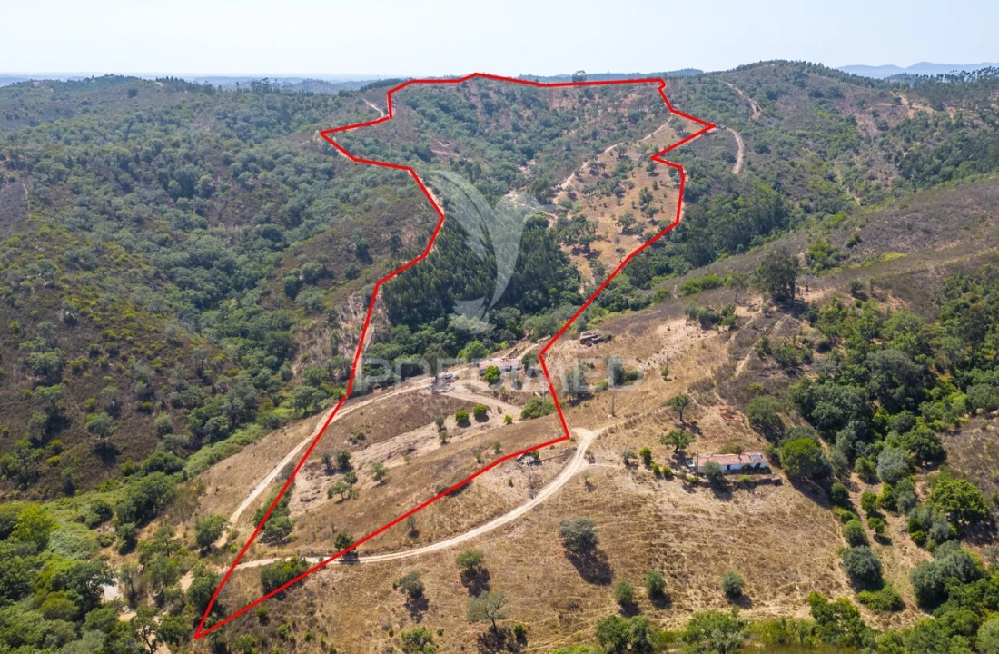 Quinta T3 para Venda em São Salvador e Santa Maria Foto 11
