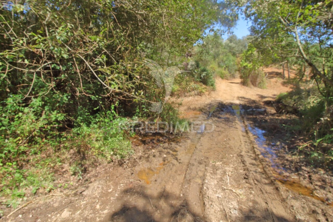 Quinta T3 para Venda em São Salvador e Santa Maria Foto 14