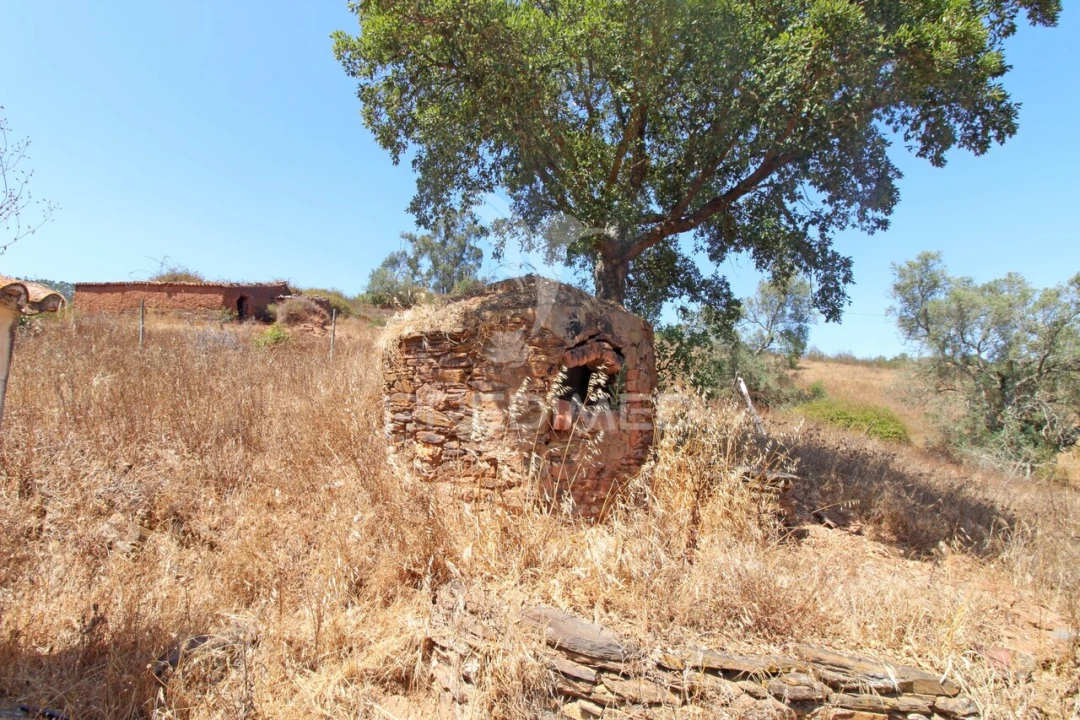 Quinta T3 para Venda em São Salvador e Santa Maria Foto 29