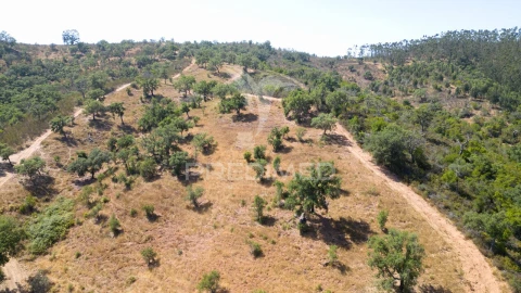 Quinta T3 para Venda em São Salvador e Santa Maria