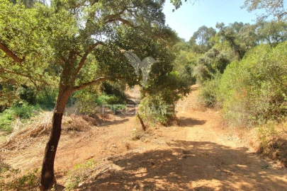Quinta T3 para Venda em São Salvador e Santa Maria