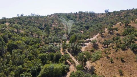 Quinta T3 para Venda em São Salvador e Santa Maria