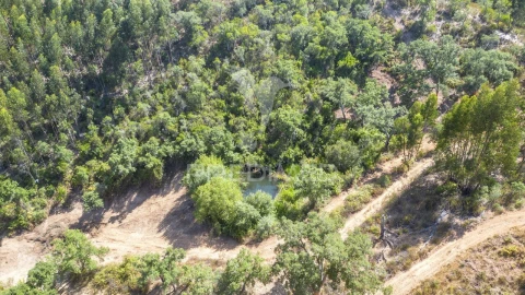 Quinta T3 para Venda em São Salvador e Santa Maria