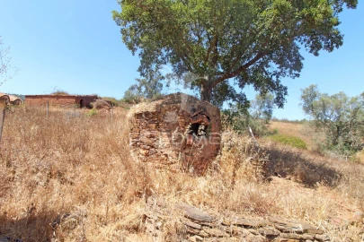 Quinta T3 para Venda em São Salvador e Santa Maria