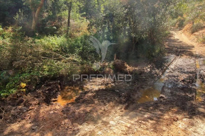Quinta T3 para Venda em São Salvador e Santa Maria