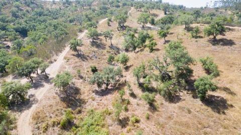 Quinta T3 para Venda em São Salvador e Santa Maria